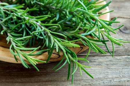 Using Rosemary for Horses