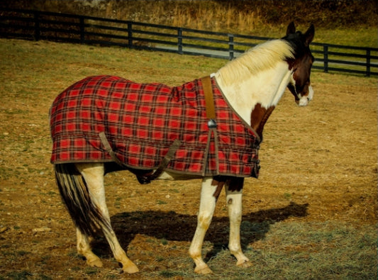 How to treat horse mood swings naturally