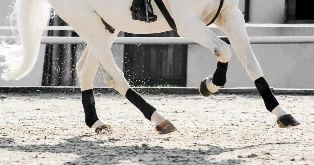 What is a locking stifle, and how does it impact the joint?