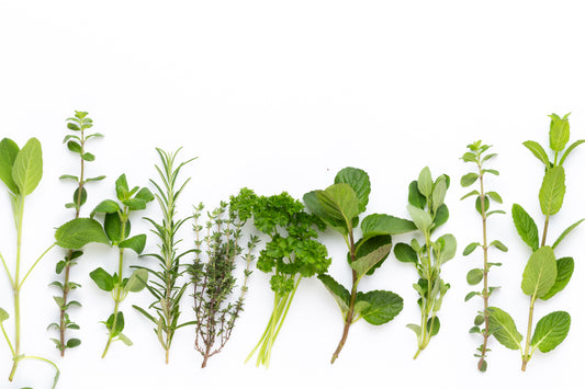 Blending Herbs for Greater Efficacy