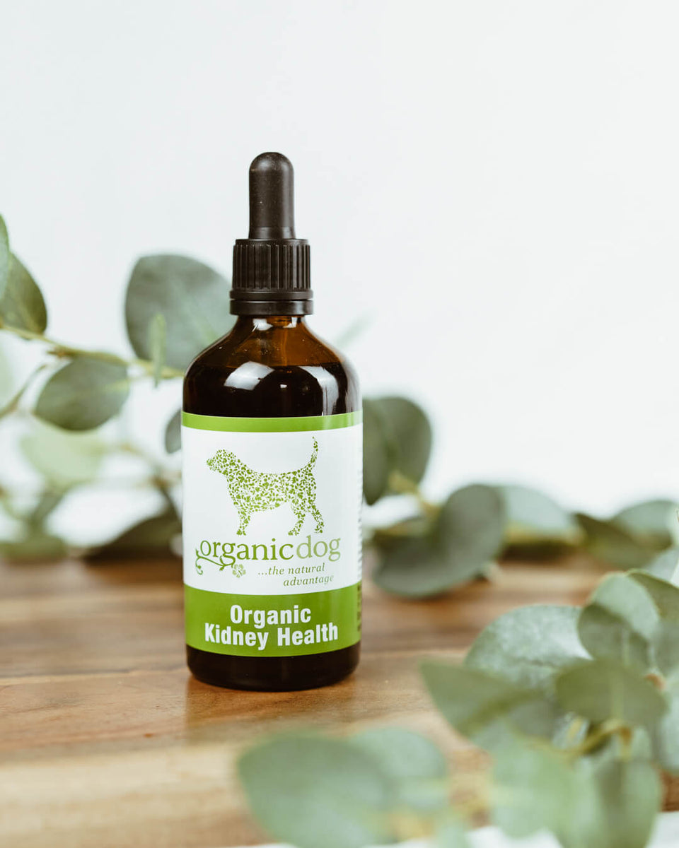 Organic Kidney Health for Dogs Brookby Herbs