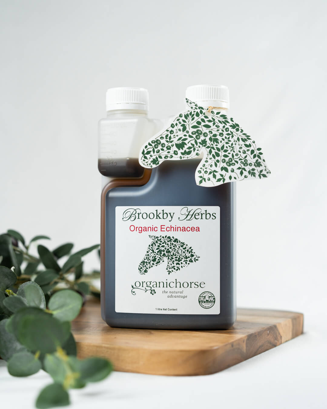 Echinacea Organic Plus
