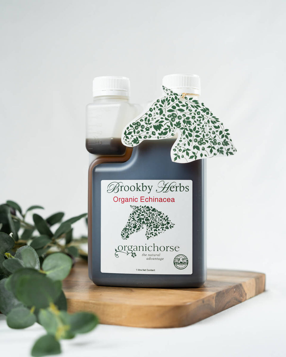 Echinacea Organic Plus. Brookby Natural Herbs for Horses & Dogs. Made