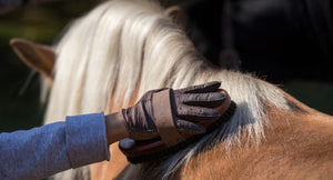 Embrace Nature: How Herbs Can Enhance Your Horse's Grooming Routine