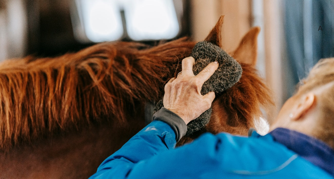 Understanding the Impact of Pine Pollen on Horses