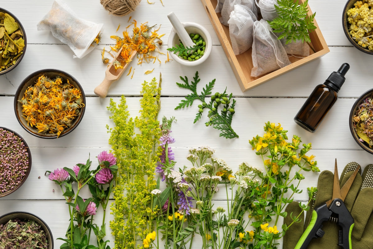 The Benefits of Using Herbal Medicine – Brookby Herbs