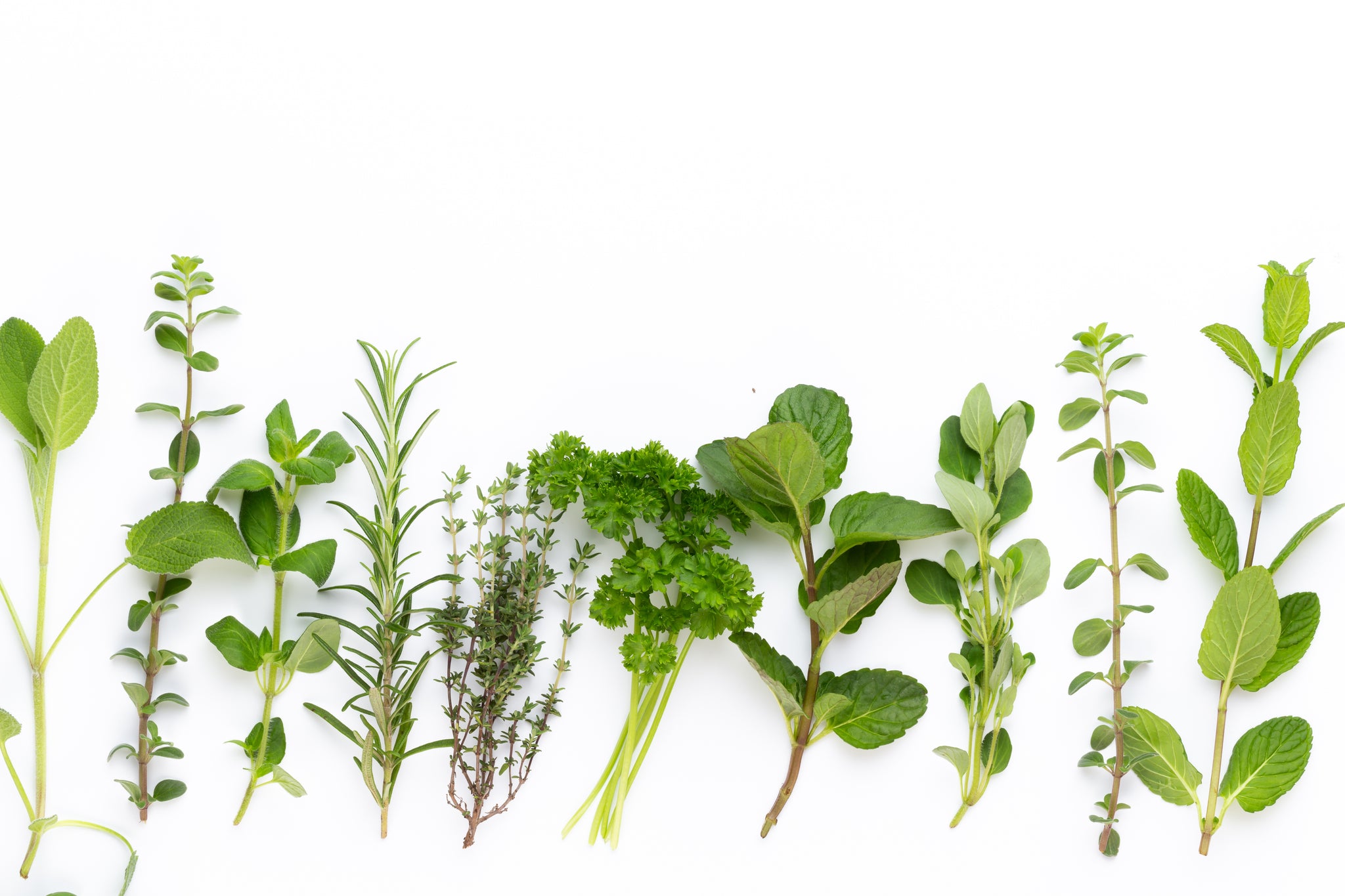 Blending Herbs for Greater Efficacy