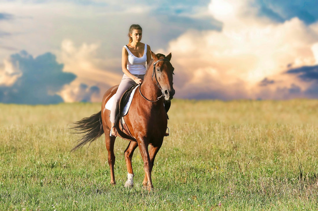 Five Types of Horse Coughs You Should Recognize