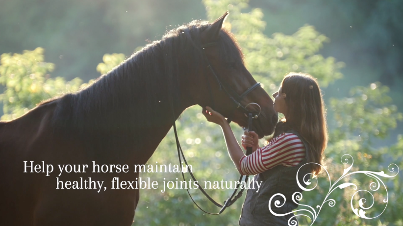 Load video: Relief For Stiff Joints In Horses