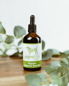 Organic Immune Booster for Dogs
