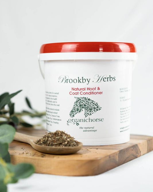Daily herbal support for strong hooves, healthy coat condition and overall vitality. Easy to add to feed.