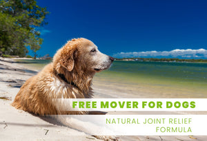 Organic Free Mover Joint Relief for Dogs