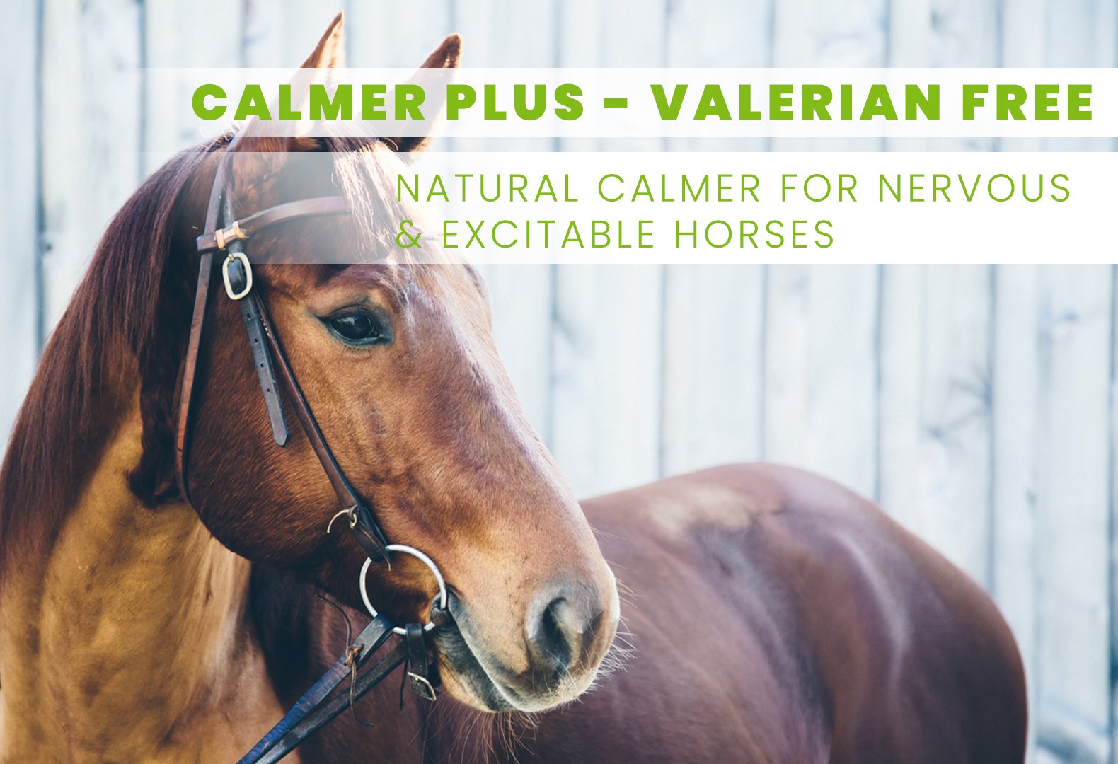 Calmer Plus - for horses