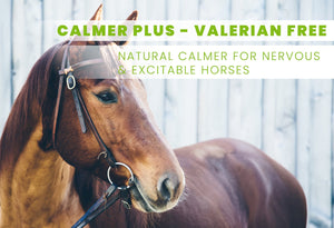 Calmer Plus - for horses